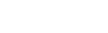 F1 INSIGHTS - White